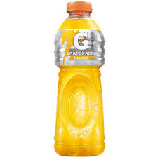GATORADE MARACUJA 500 ML                          
